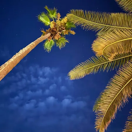 Privat bolig The Outlook - Bedrooms *