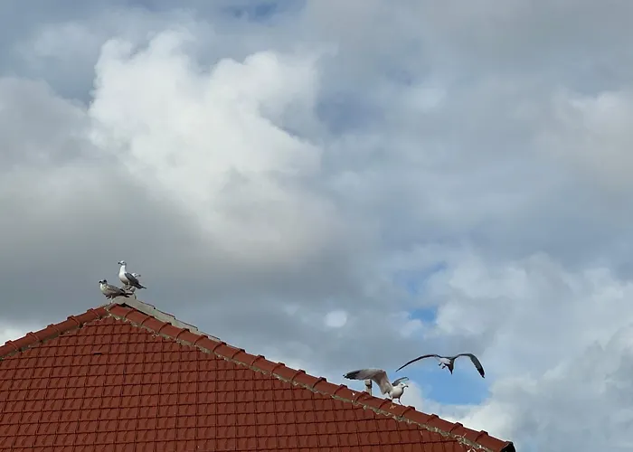 The Outlook - Bedrooms