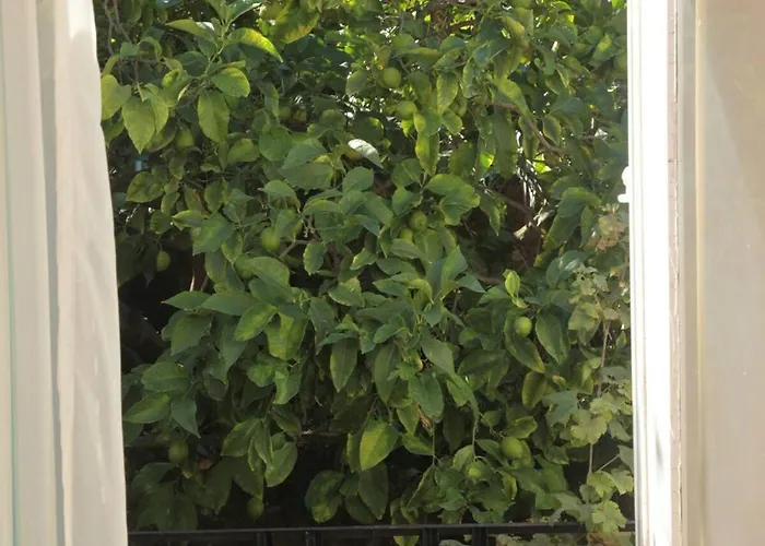 The Outlook - Bedrooms Séjour chez l'habitant